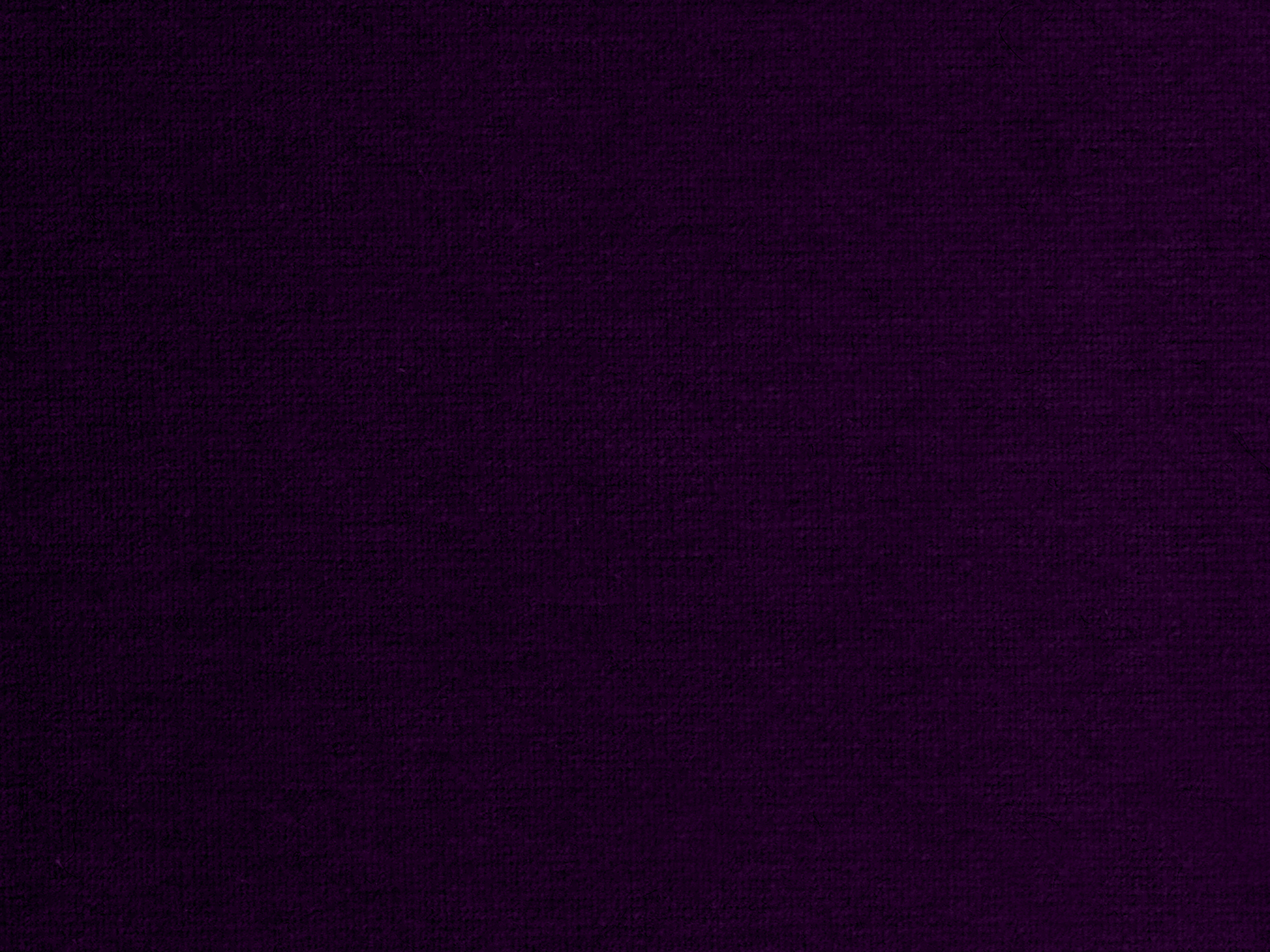 zoom colori RIVE GAUCHE violet
